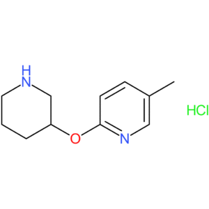 5-Methyl-2-(piperidin-3-yloxy)pyridine hydrochloride