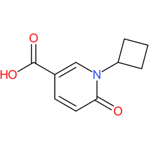 1-Cyclobutyl-6-oxo-1,6-dihydropyridine-3-carboxylic acid