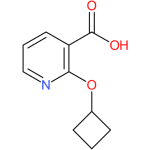 2-Cyclobutoxypyridine-3-carboxylic acid