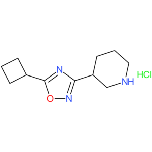 3-(5-Cyclobutyl-1,2,4-oxadiazol-3-yl)piperidine hydrochloride