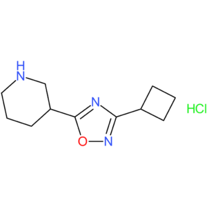 3-(3-Cyclobutyl-1,2,4-oxadiazol-5-yl)piperidine hydrochloride