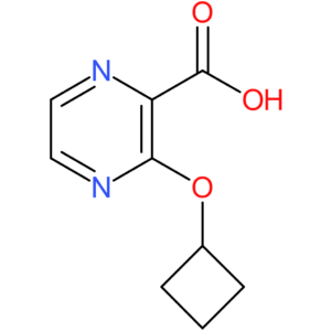 3-Cyclobutoxypyrazine-2-carboxylic acid
