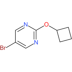 5-Bromo-2-cyclobutoxypyrimidine