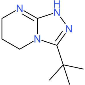 3-tert-Butyl-5H,6H,7H,8H-[1,2,4]triazolo[4,3-a]pyrimidine
