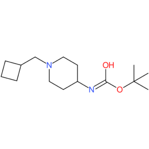 tert-Butyl 1-(cyclobutylmethyl)piperidin-4-ylcarbamate