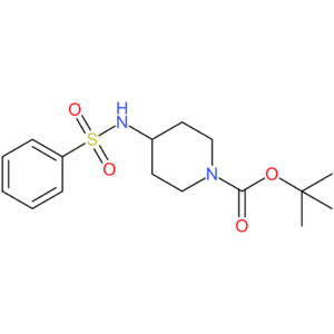 tert-Butyl 4-(phenylsulfonamido)piperidine-1-carboxylate