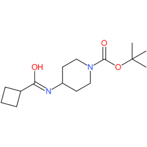 tert-Butyl 4-(cyclobutanecarbonylamino)piperidine-1-carboxylate