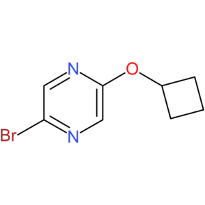 2-Bromo-5-cyclobutoxypyrazine