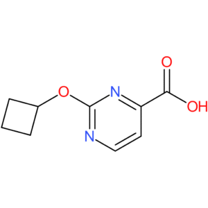 2-Cyclobutoxypyrimidine-4-carboxylic acid