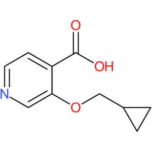 3-(Cyclopropylmethoxy)isonicotinic acid