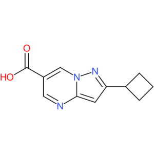 2-Cyclobutylpyrazolo[1,5-a]pyrimidine-6-carboxylic acid