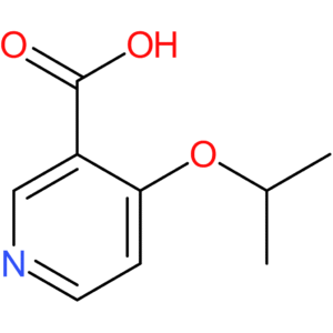4-(Propan-2-yloxy)pyridine-3-carboxylic acid