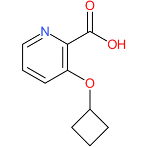 3-Cyclobutoxypyridine-2-carboxylic acid
