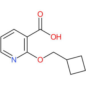 2-(Cyclobutylmethoxy)pyridine-3-carboxylic acid