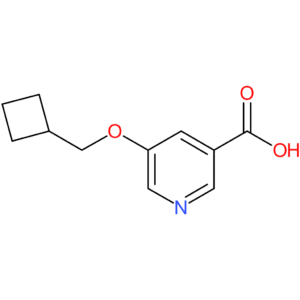 5-(Cyclobutylmethoxy)pyridine-3-carboxylic acid