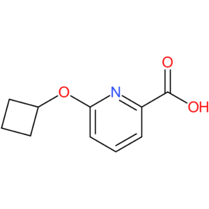 6-Cyclobutoxypyridine-2-carboxylic acid