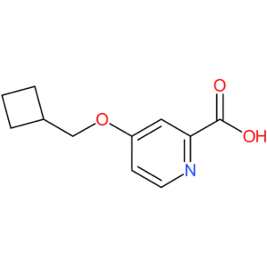 4-(Cyclobutylmethoxy)pyridine-2-carboxylic acid