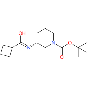 (R)-tert-Butyl 3-(cyclobutanecarbonylamino)piperidine-1-carboxylate