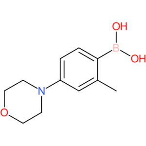 2-Methyl-4-morpholinophenylboronic acid