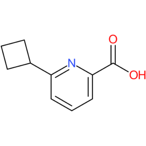 6-Cyclobutylpicolinic acid