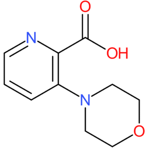 3-Morpholinopicolinic acid