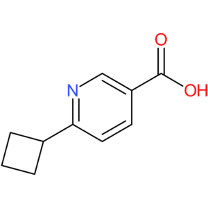 6-Cyclobutylnicotinic acid