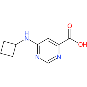 6-(Cyclobutylamino)pyrimidine-4-carboxylic acid