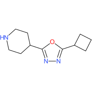 4-(5-Cyclobutyl-1,3,4-oxadiazol-2-yl)piperidine