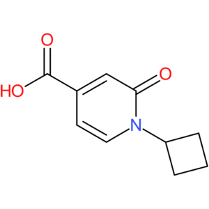 1-Cyclobutyl-2-oxo-1,2-dihydropyridine-4-carboxylic acid