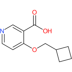4-(Cyclobutylmethoxy)pyridine-3-carboxylic acid