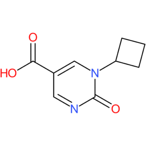 1-Cyclobutyl-2-oxo-1,2-dihydropyrimidine-5-carboxylic acid