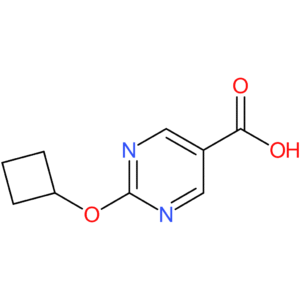 2-Cyclobutoxypyrimidine-5-carboxylic acid