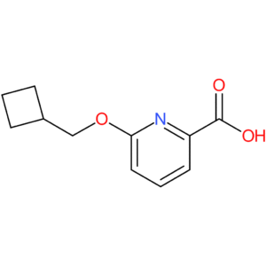 6-(Cyclobutylmethoxy)pyridine-2-carboxylic acid