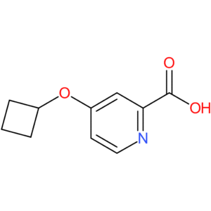 4-Cyclobutoxypyridine-2-carboxylic acid