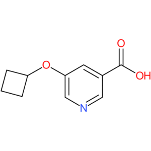 5-Cyclobutoxypyridine-3-carboxylic acid