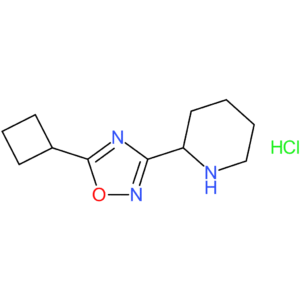 2-(5-Cyclobutyl-1,2,4-oxadiazol-3-yl)piperidine hydrochloride