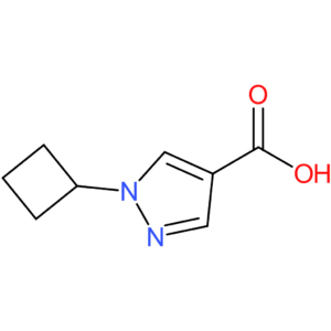 1-Cyclobutyl-1H-pyrazole-4-carboxylic acid