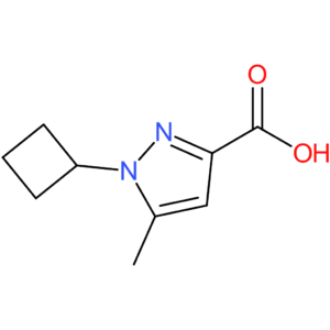 1-Cyclobutyl-5-methyl-1H-pyrazole-3-carboxylic acid