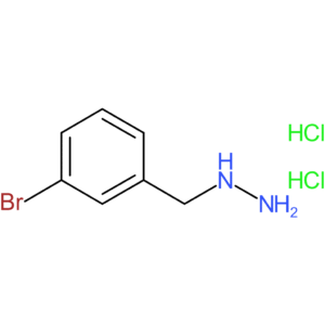 1-(3-Bromobenzyl)hydrazine dihydrochloride