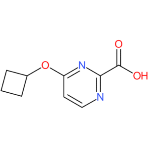 4-Cyclobutoxypyrimidine-2-carboxylic acid