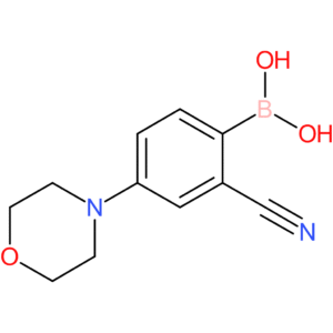 2-Cyano-4-morpholinophenylboronic acid
