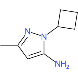 1-Cyclobutyl-3-methyl-1H-pyrazol-5-amine
