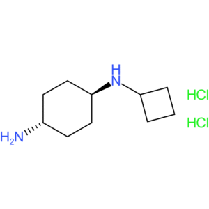 (1R*,4R*)-N1-Cyclobutylcyclohexane-1,4-diamine dihydrochloride