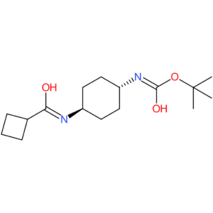 tert-Butyl (1R*,4R*)-4-(cyclobutanecarbonylamino)cyclohexylcarbamate
