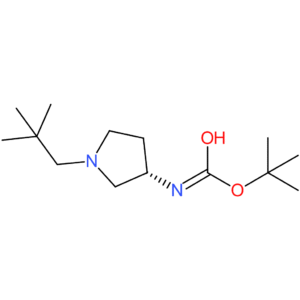 (S)-tert-Butyl 1-neopentylpyrrolidin-3-ylcarbamate