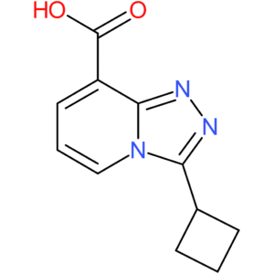 3-Cyclobutyl-[1,2,4]triazolo[4,3-a]pyridine-8-carboxylic acid