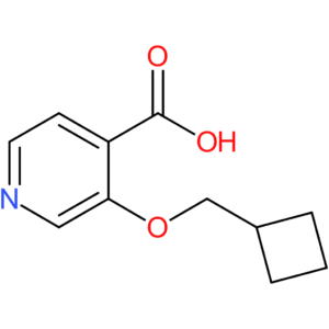 3-(Cyclobutylmethoxy)isonicotinic acid