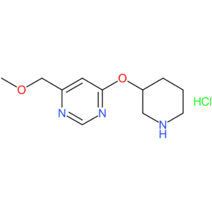 4-(Methoxymethyl)-6-(piperidin-3-yloxy)pyrimidine hydrochloride