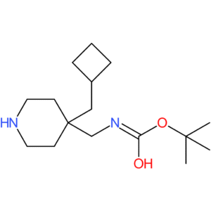 tert-Butyl [4-(cyclobutylmethyl)piperidin-4-yl]methylcarbamate