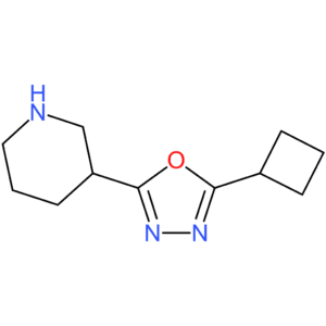 3-(5-Cyclobutyl-1,3,4-oxadiazol-2-yl)piperidine
